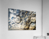Abstract - Capture I Acrylic Print