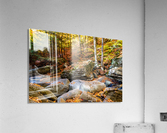 Mountain River V Acrylic Print