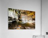 Mountain River VII Acrylic Print