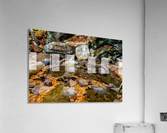 Mountain River VII Acrylic Print