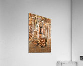 Pensive Christ Acrylic Print