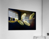 Catkins Acrylic Print