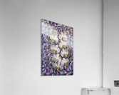 Stylish Orchids Acrylic Print