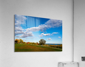 Scenic riverside  Acrylic Print