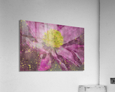 Peony Acrylic Print