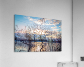 River 2  Acrylic Print
