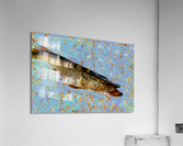 Pike Acrylic Print