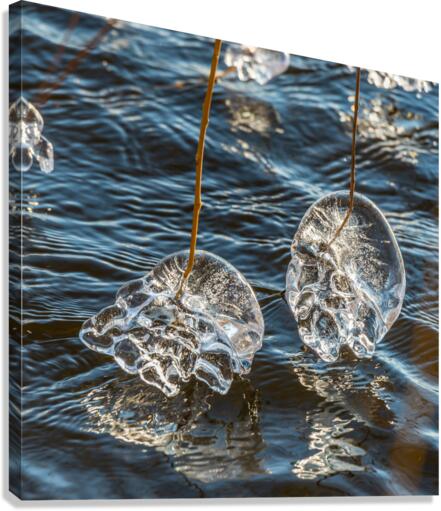 Winter Creations III Canvas Print