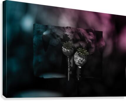 Dont Use To Much... Canvas Print