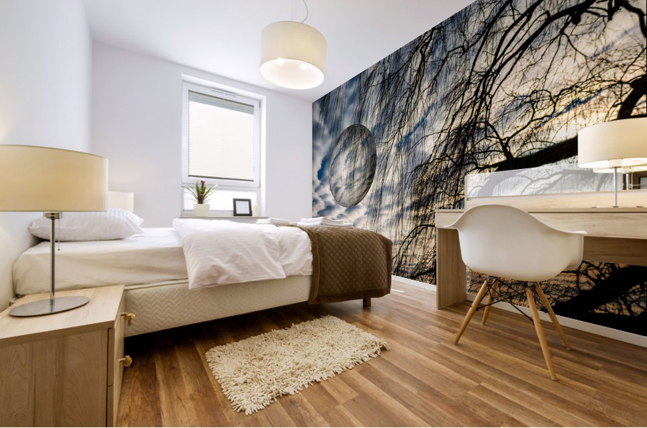 Abstract - Capture I Mural print