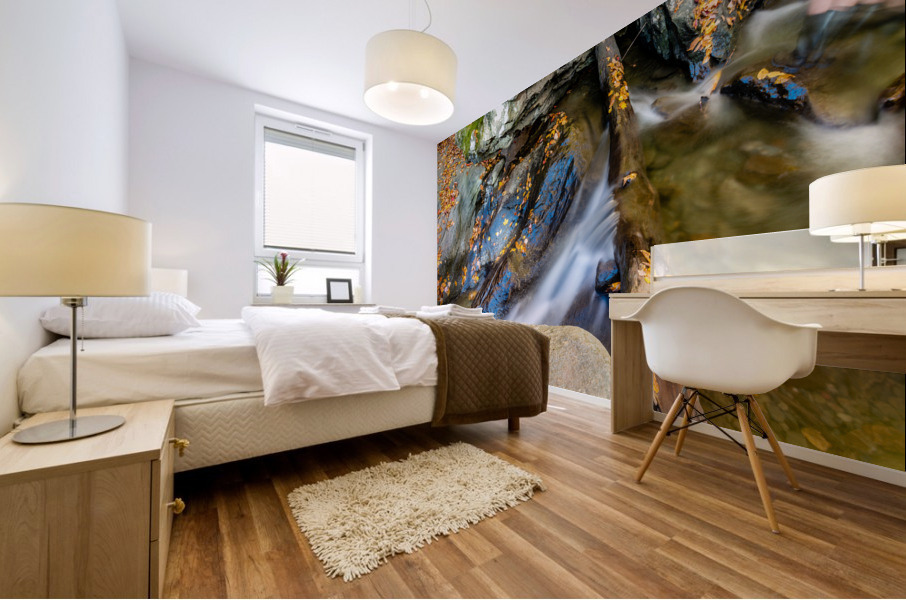 Mountain River I Mural print