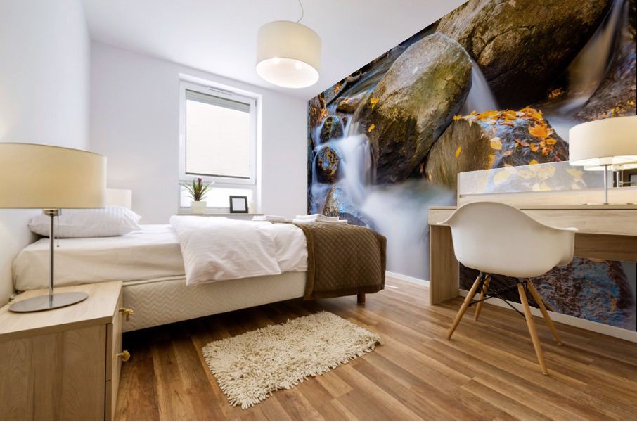 Mountain River II Mural print