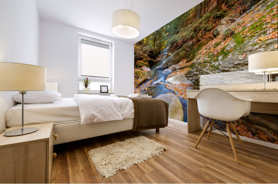Mountain River IV Mural print