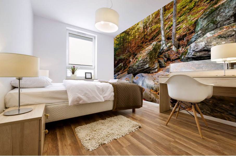 Mountain River V Mural print