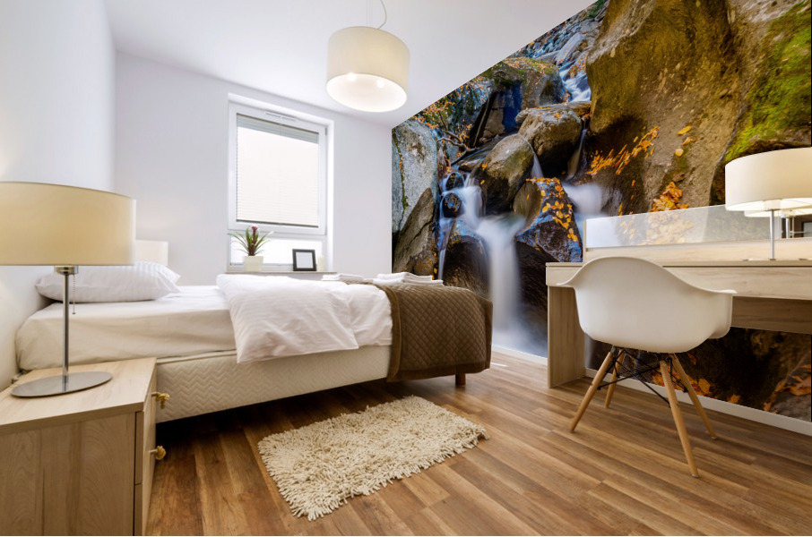 Mountain River VI Mural print
