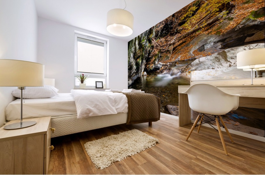 Mountain River VII Mural print