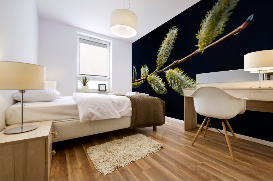 Catkins Mural print