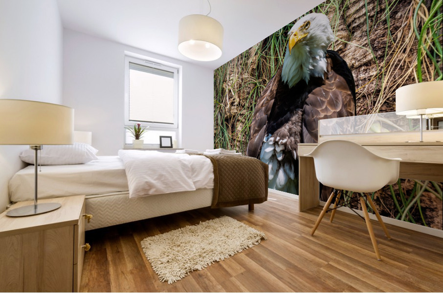 American Eagle Mural print