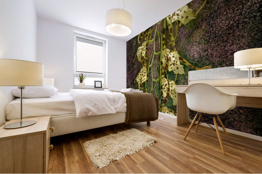 Stylish Orchids Mural print