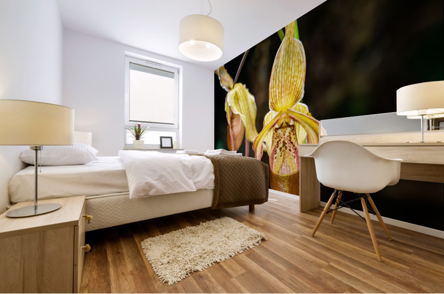 Orchids III Mural print