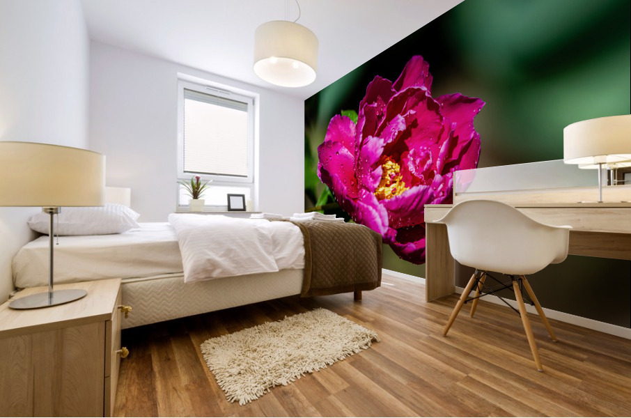 Peony flowers Mural print