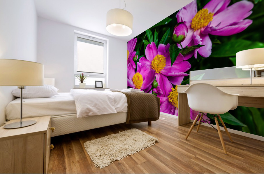 Peony Flowers Mural print
