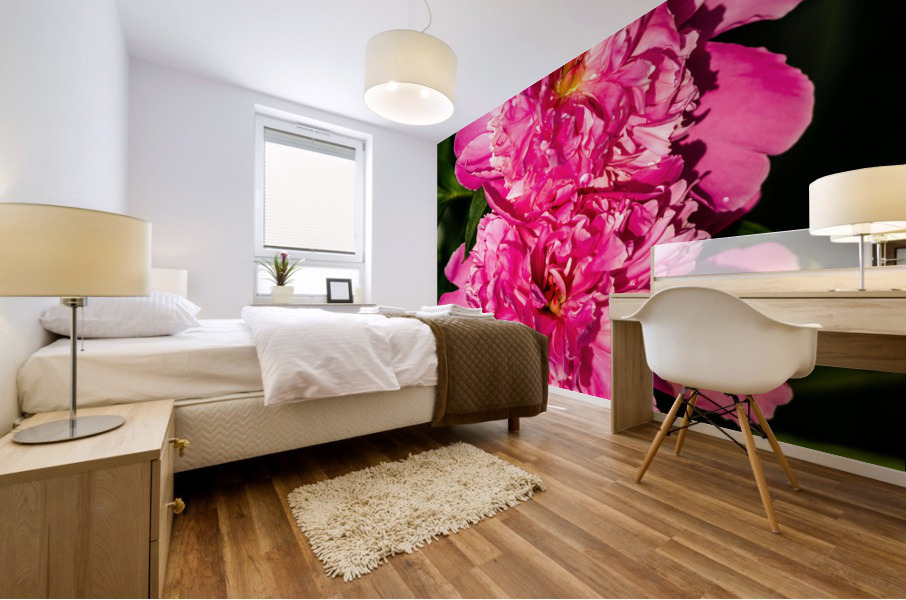 Peony Flowers Mural print