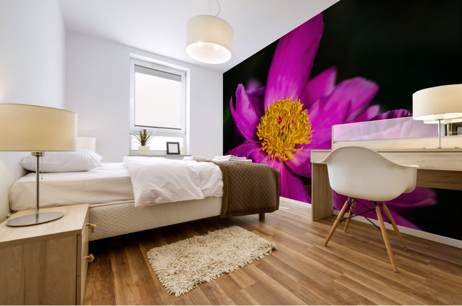 Peony Flowers Mural print
