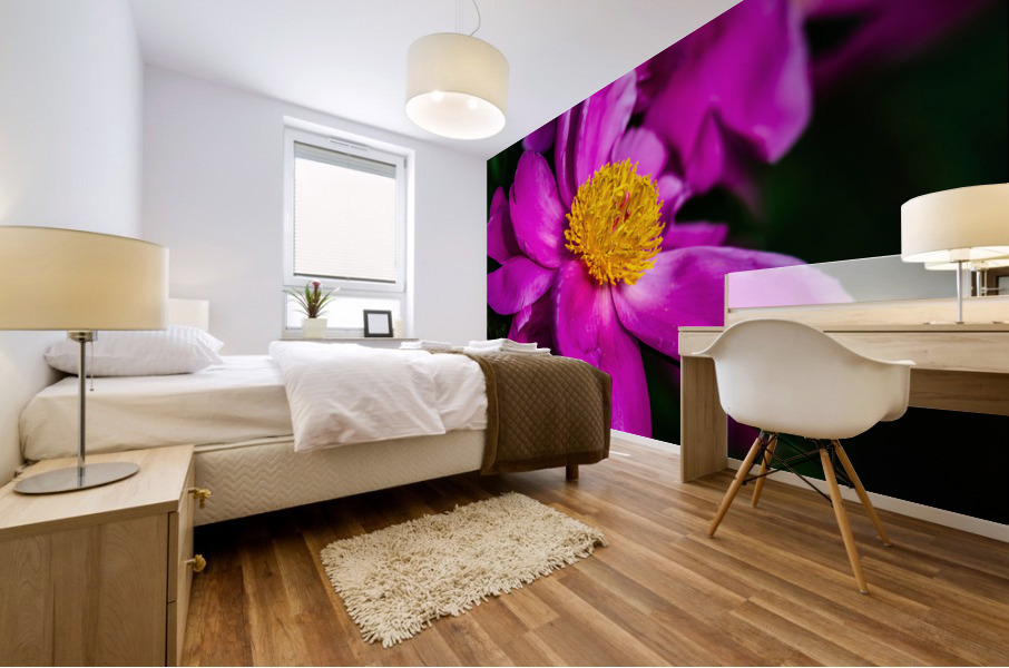 Peony Flowers Mural print
