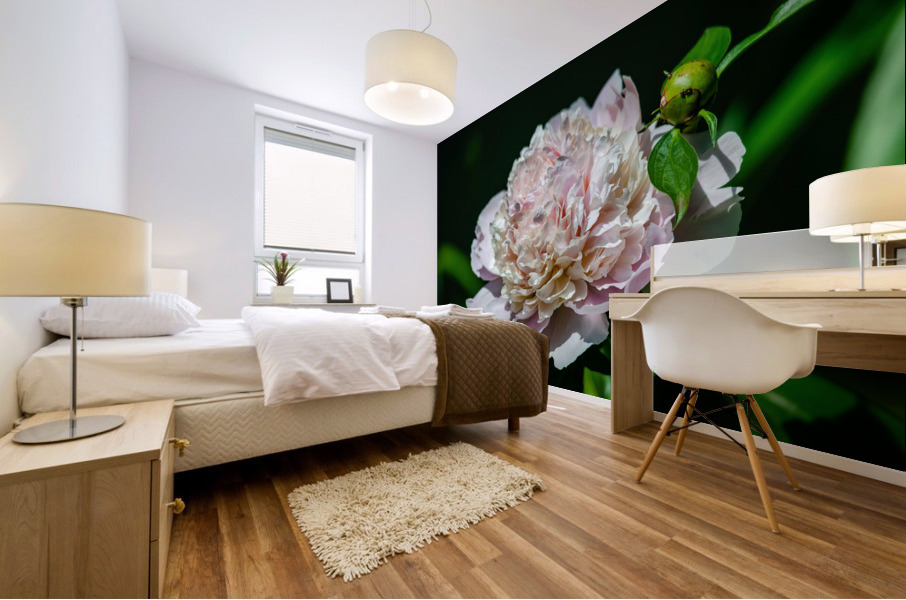 Peony Flowers Mural print
