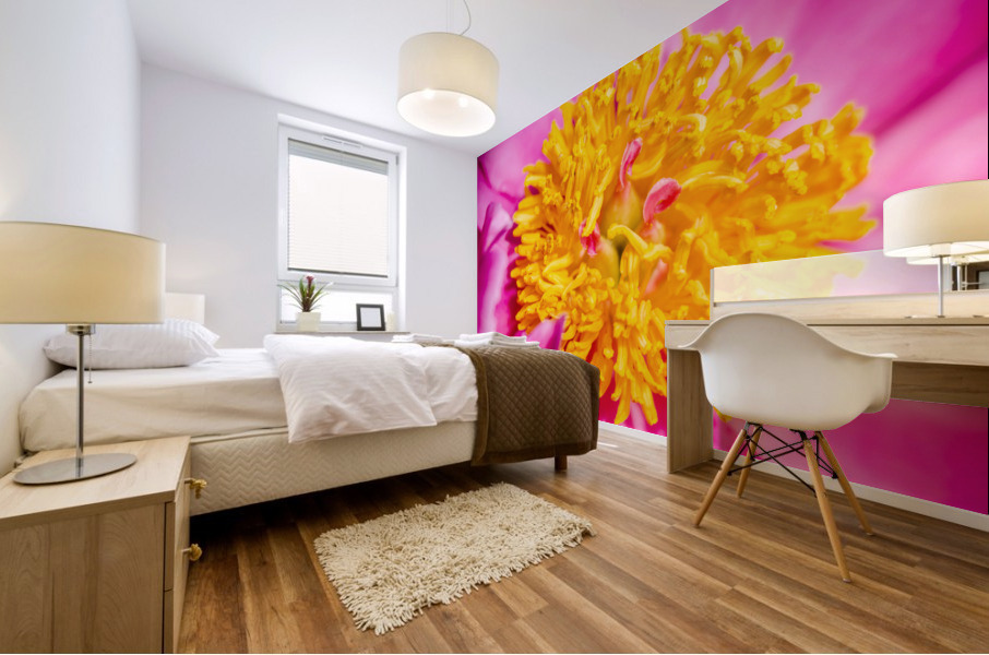 Peony Flowers Mural print