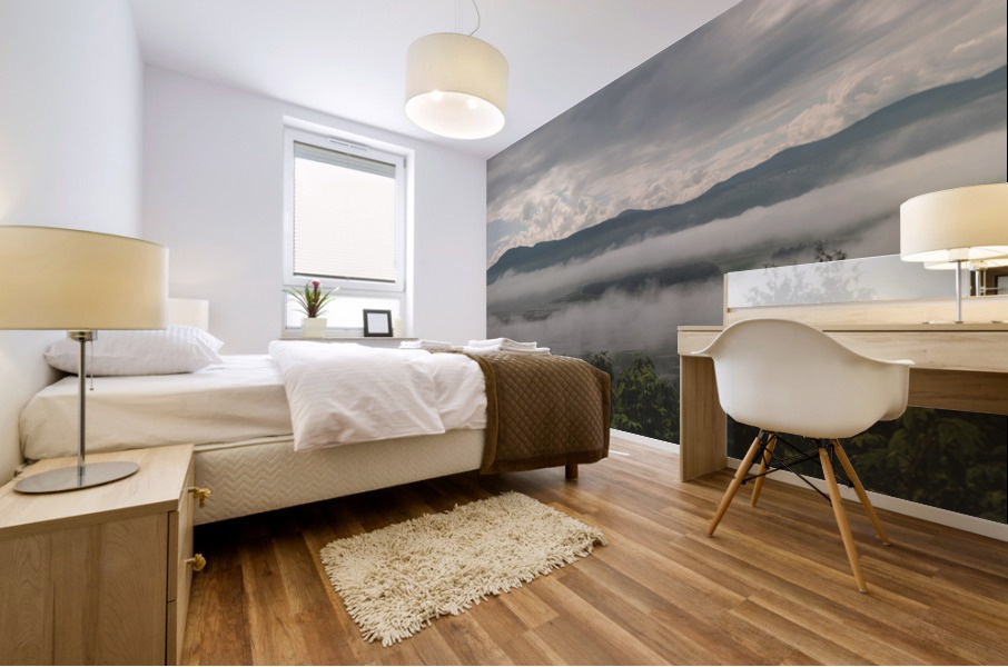 Scenic view   Mural print