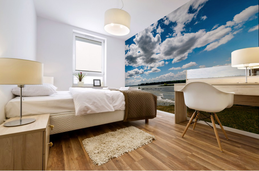 River - Scenic View Mural print
