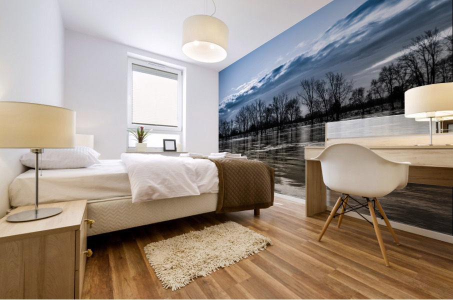 River1 Mural print