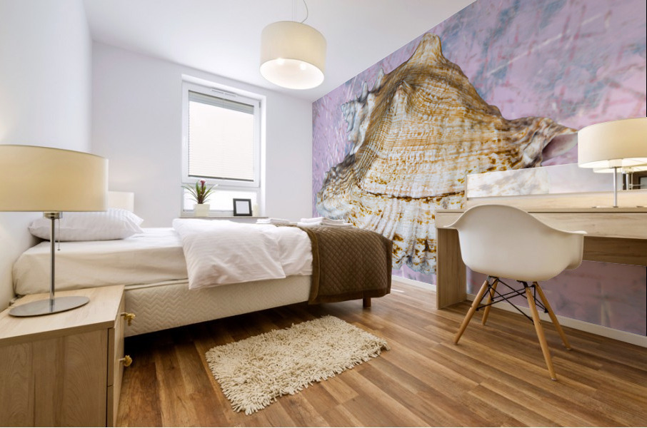 Seashell  Mural print