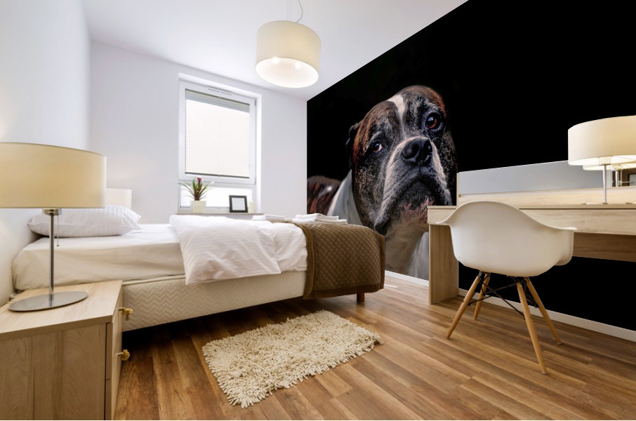 Wise Glance Mural print