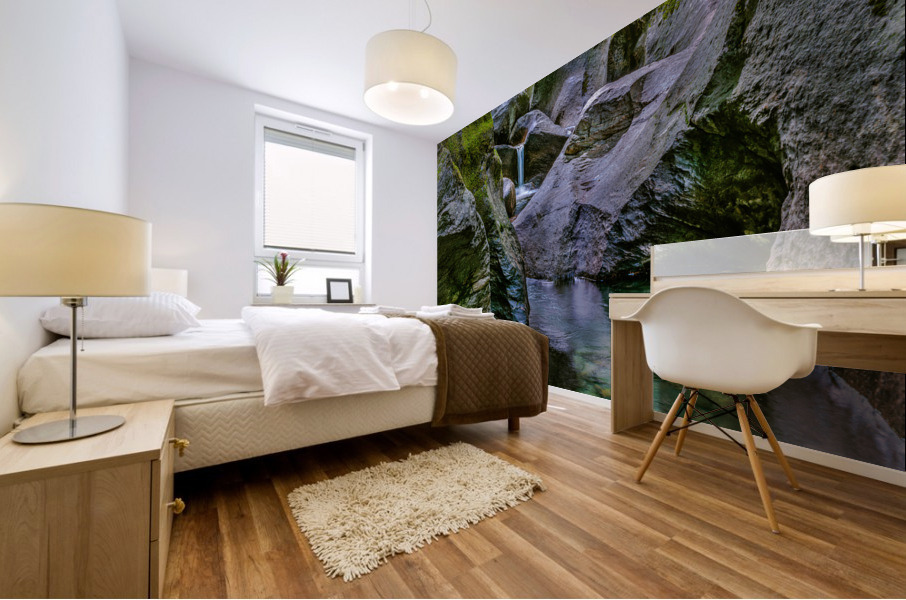Mountain Stream Mural print