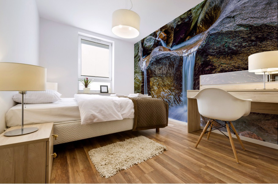 Mountain Stream II Mural print