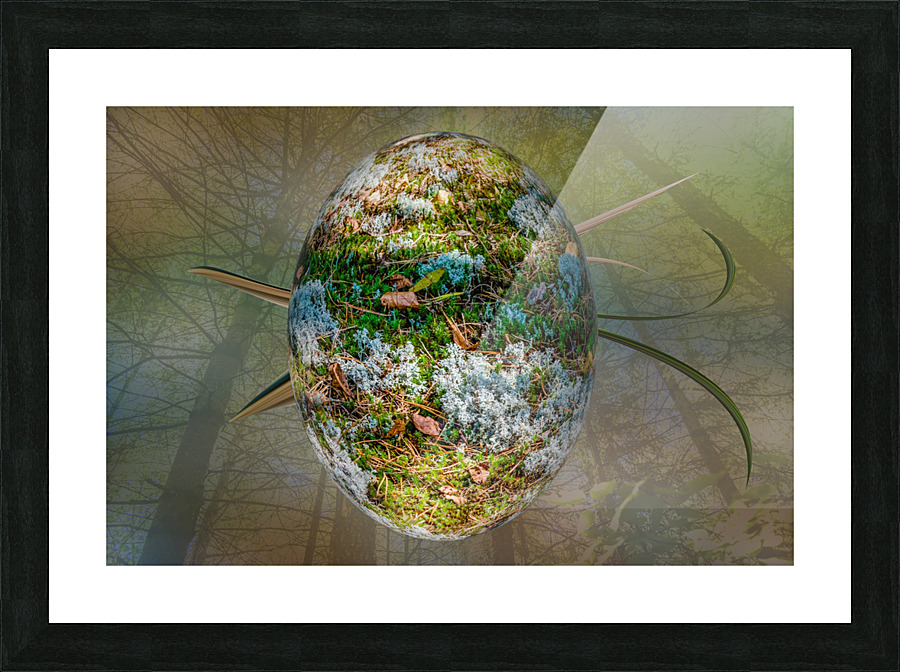 Abstract -  Forest Egg Picture Frame print