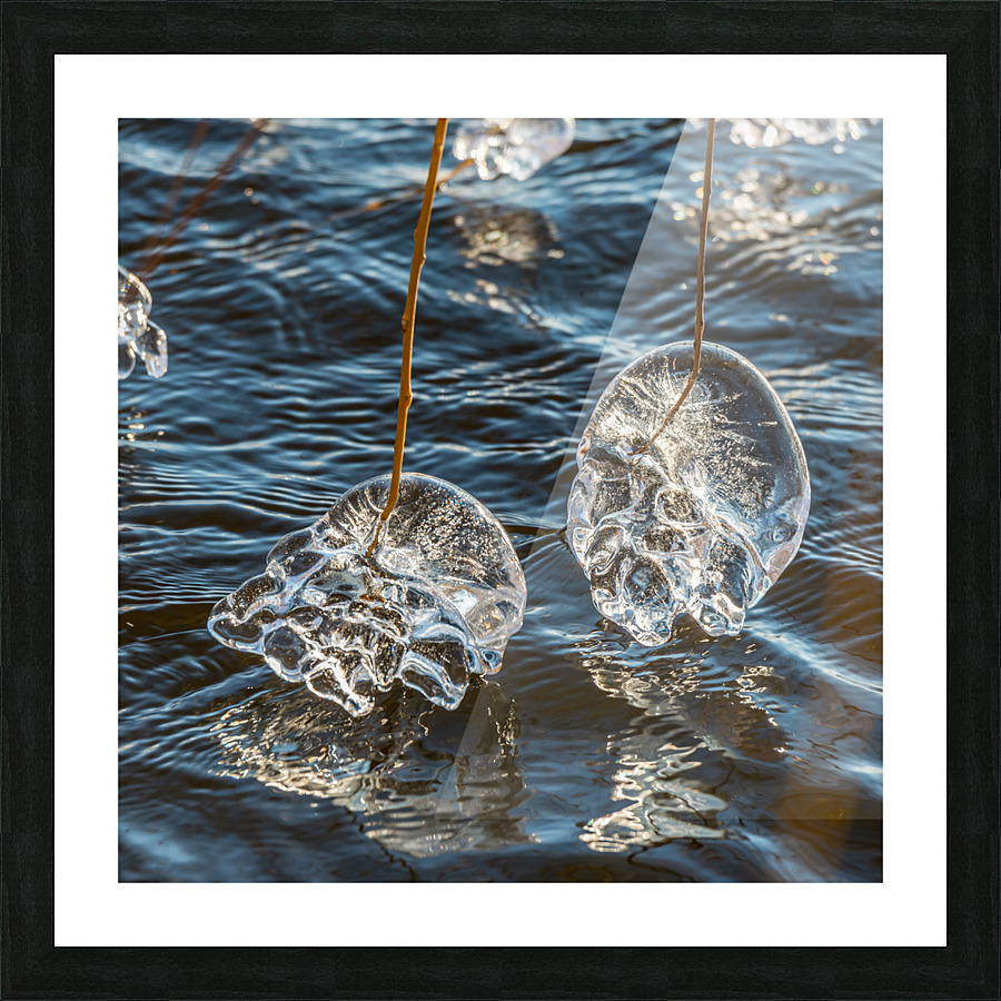 Winter Creations III Picture Frame print