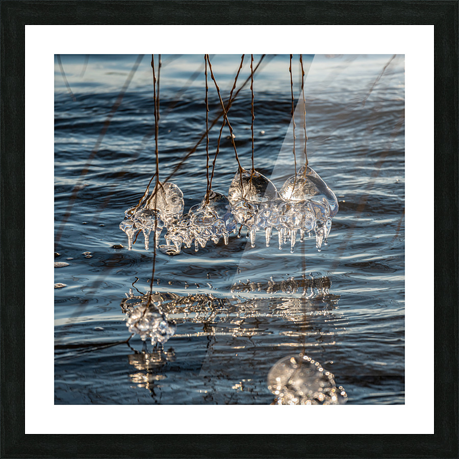 Winter Creations II  Picture Frame print
