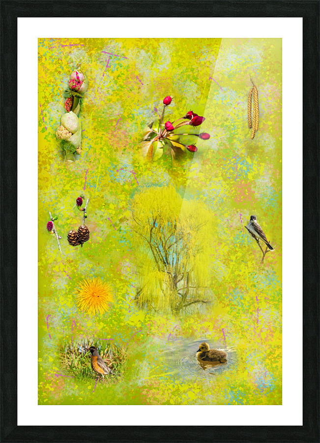 Seasons - Springtime Picture Frame print