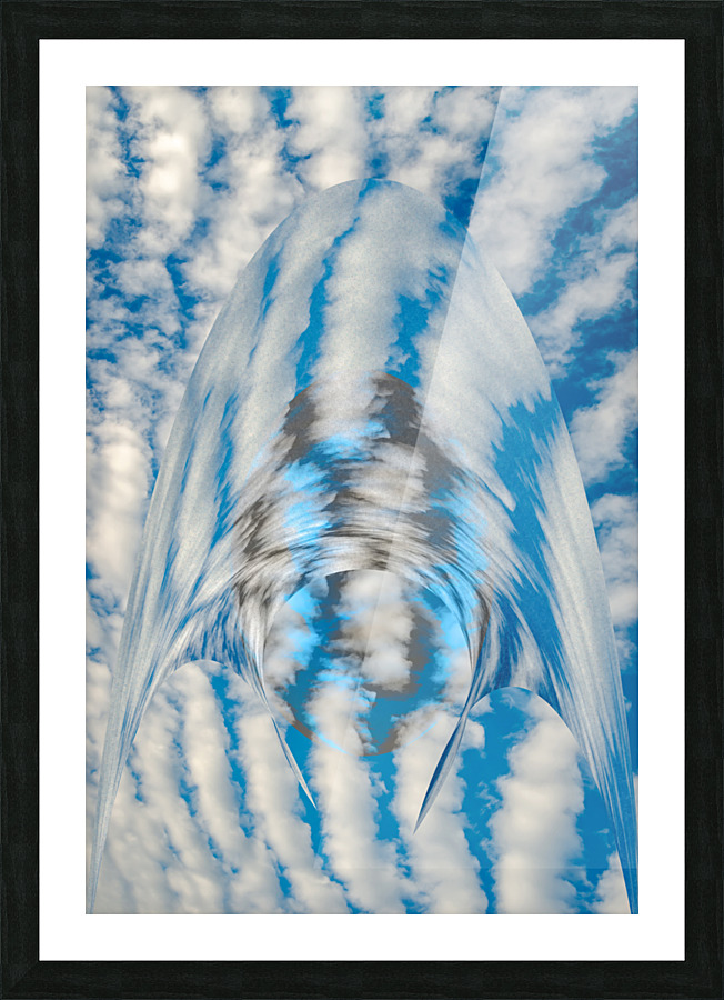Cloaking Device Picture Frame print