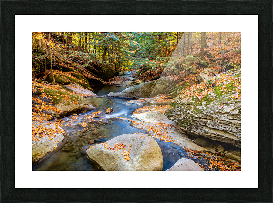 Mountain River IV Picture Frame print