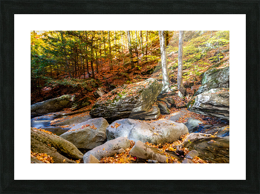Mountain River V Picture Frame print