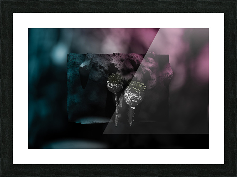 Dont Use To Much... Picture Frame print