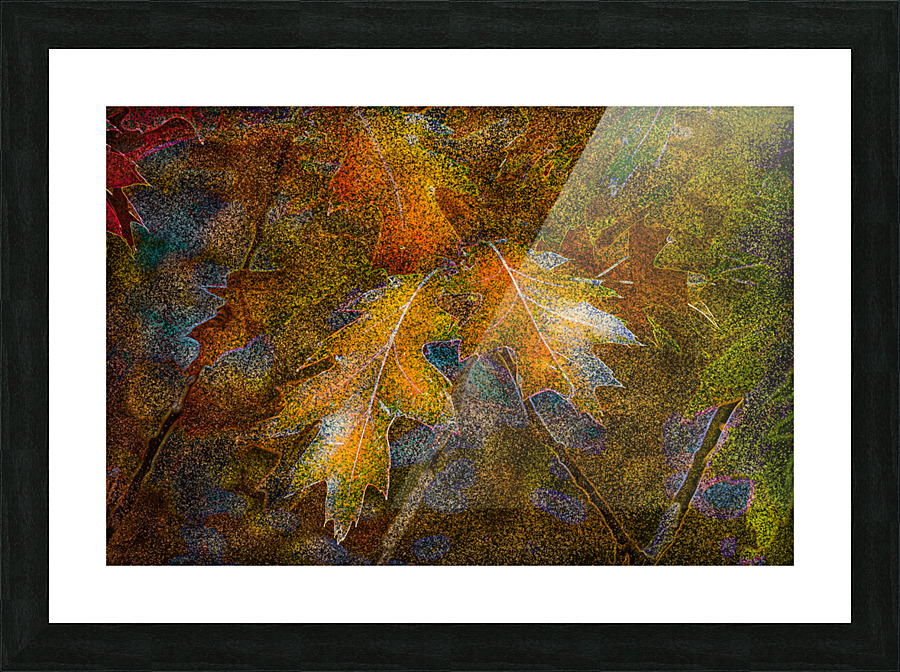 Oak Tree Leaves Picture Frame print