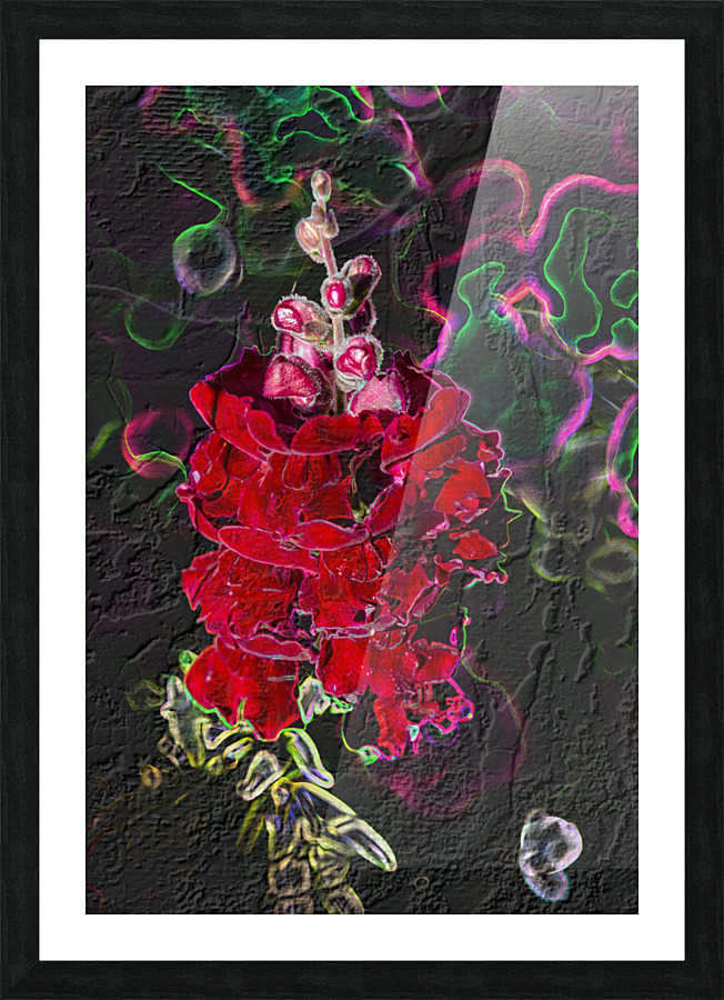 Red in Black Picture Frame print