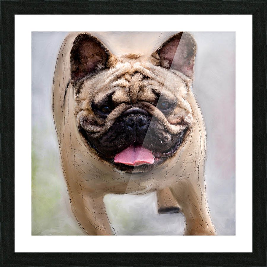 Dog Picture Frame print