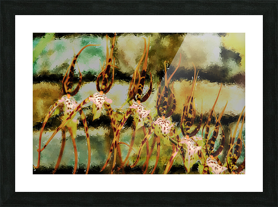 Climate Change - Phase II Picture Frame print